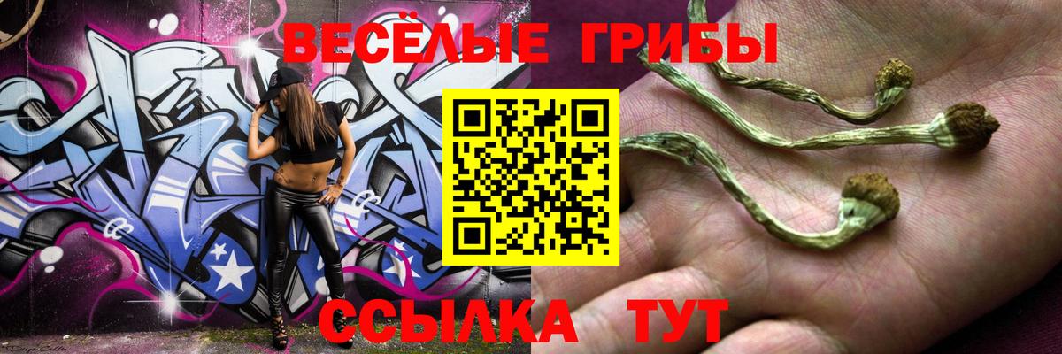 Псилоцибиновые грибы ЛСД Самара