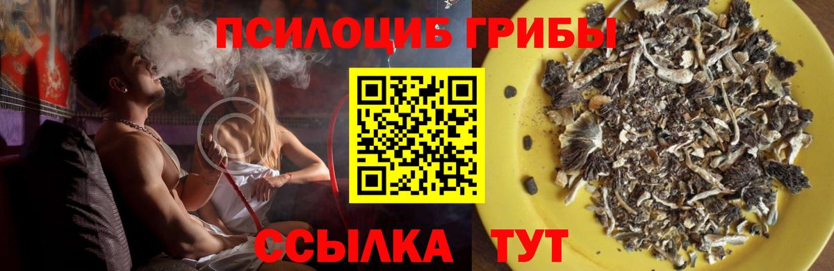 Самара  Галлюциногенные грибы Psilocybe  сколько стоит  Вход с VPN  Псилоцибиновые грибы MAGIC MUSHROOMS 